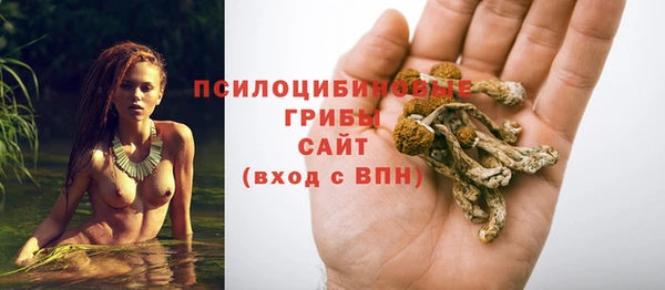 молекула духа Костерёво