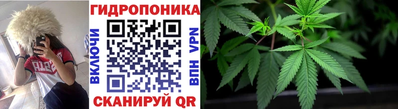Каннабис индика Купить где Мирный